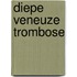 Diepe veneuze trombose