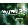 Waterlicht by Willem Kolvoort