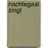 Nachtegaal zingt