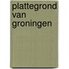 Plattegrond van Groningen door Petra Pauw