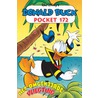 Donald Duck Pocket door Walt Disney Studio’s