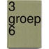 3 Groep 6