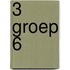 3 Groep 6