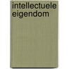 Intellectuele eigendom door P.G.F.A. Geerts