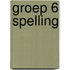 Groep 6 spelling