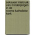 Seksueel misbruik van minderjarigen in de rooms-katholieke kerk