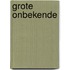 Grote onbekende