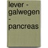 Lever - galwegen - pancreas