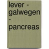 Lever - galwegen - pancreas door Groote