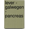 Lever - galwegen - pancreas door Groote