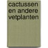 Cactussen en andere vetplanten