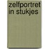 Zelfportret in stukjes