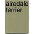 Airedale terrier