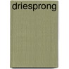 Driesprong door Onbekend