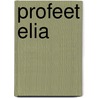 Profeet elia door K. Waaijman