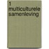 1 Multiculturele samenleving