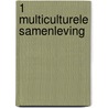 1 Multiculturele samenleving door Onbekend
