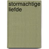Stormachtige liefde by D. Kauffman