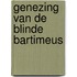 Genezing van de blinde bartimeus