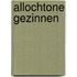 Allochtone gezinnen