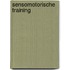 Sensomotorische training