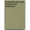 Evaluatieonderzoek Families First Nederland door R. de Kemp
