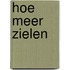 Hoe meer zielen