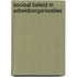 Sociaal beleid in arbeidsorganisaties