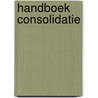 Handboek consolidatie door S. Plateau