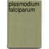 Plasmodium falciparum