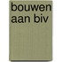 Bouwen aan BIV