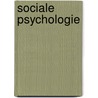 Sociale psychologie by R.W. Meertens