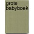 Grote babyboek