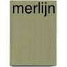 Merlijn by Janny de Jong