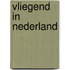 Vliegend in nederland