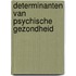 Determinanten van psychische gezondheid