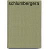 Schlumbergera door F.A. Supplie