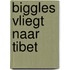 Biggles vliegt naar Tibet