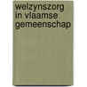 Welzynszorg in vlaamse gemeenschap door Steyaert