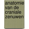 Anatomie van de craniale zenuwen by Kerckaert