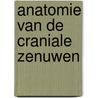 Anatomie van de craniale zenuwen door Kerckaert