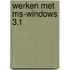 Werken met ms-windows 3.1