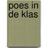 Poes in de klas