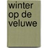 Winter op de Veluwe
