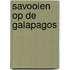 Savooien Op De Galapagos