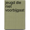 Jeugd die niet voorbijgaat by Ronald Commers