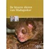 De bizarre dieren van Madagaskar