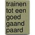Trainen tot een goed gaand paard