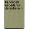 Handboek Nederlands detentierecht door M. Taheri