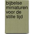 Bijbelse Miniaturen Voor De Stille Tijd